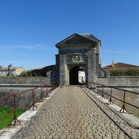 Liseron * Saint-Martin-de-Ré