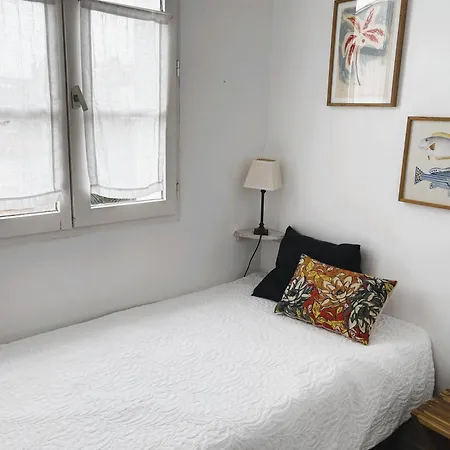 Liseron Saint-Martin-de-Ré