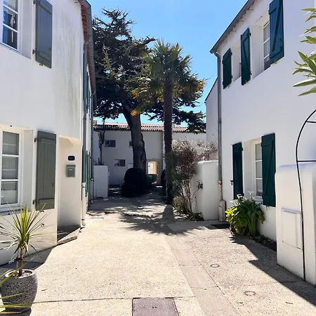 Liseron Saint-Martin-de-Ré